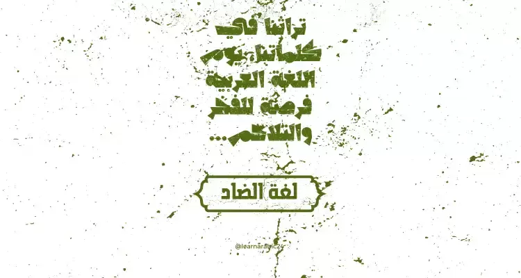 هل تعلم عن اللغة العربية - معلومات ونصائح عن اللغة العربية في 2024