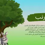 الحيوانات البرية للأطفال